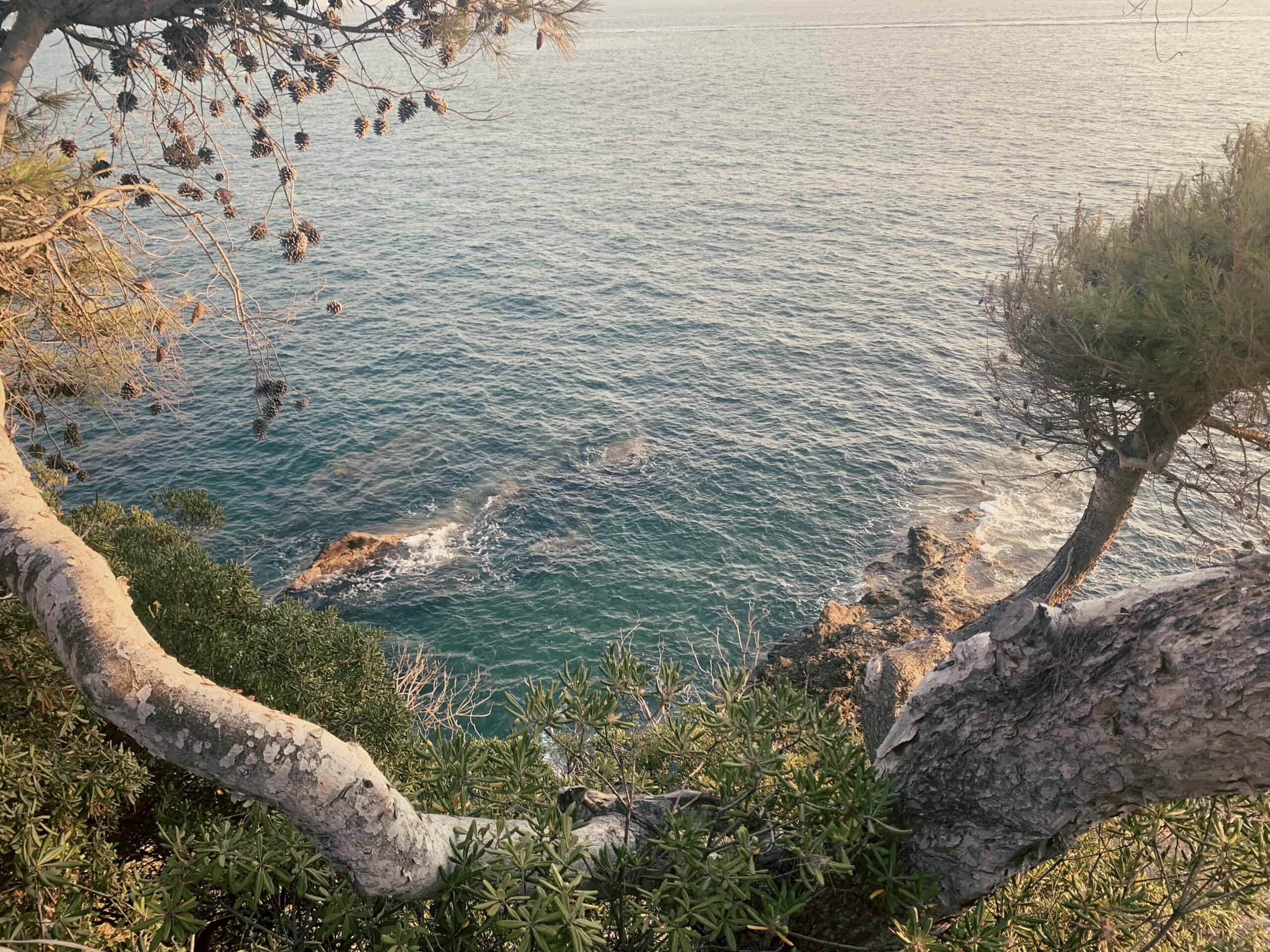  mercedes ln2 1124af expedition truck