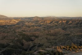  mercedes ln2 1124af expedition truck