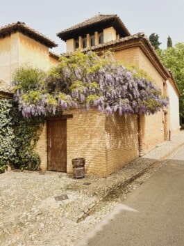  mercedes ln2 1124af expedition truck