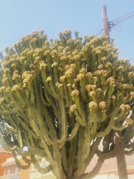  mercedes ln2 1124af expedition truck