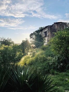  mercedes ln2 1124af expedition truck