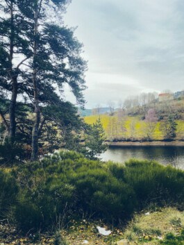  mercedes ln2 1124af expedition truck