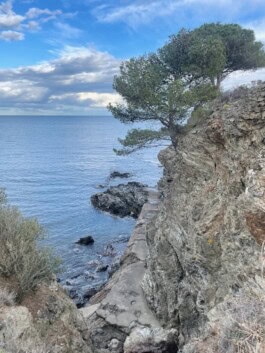  mercedes ln2 1124af expedition truck