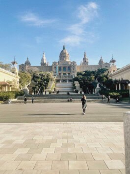  mercedes ln2 1124af expedition truck