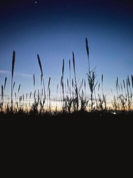  mercedes ln2 1124af expedition truck