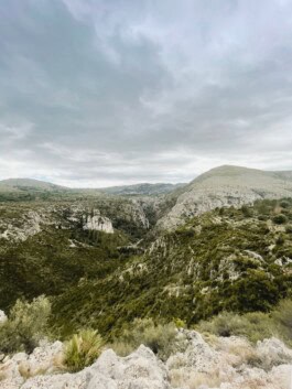  mercedes ln2 1124af expedition truck