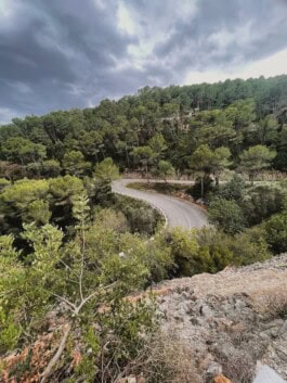  mercedes ln2 1124af expedition truck