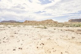 mercedes ln2 1124af expedition truck