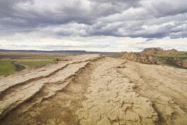 mercedes ln2 1124af expedition truck