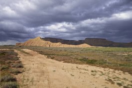  mercedes ln2 1124af expedition truck