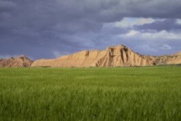 mercedes ln2 1124af expedition truck