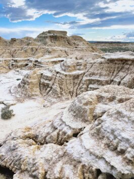 mercedes ln2 1124af expedition truck