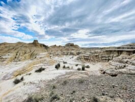 mercedes ln2 1124af expedition truck