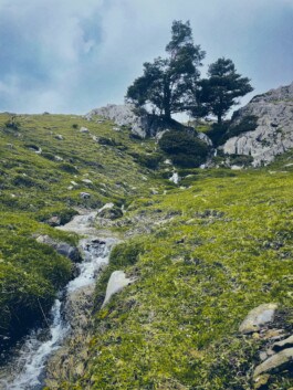 mercedes ln2 1124af expedition truck