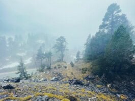 mercedes ln2 1124af expedition truck