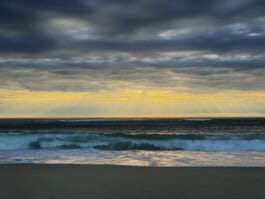 mercedes ln2 1124af expedition truck