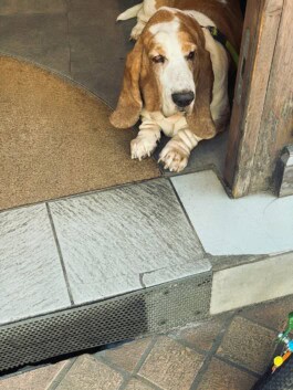 mercedes ln2 1124af expedition truck