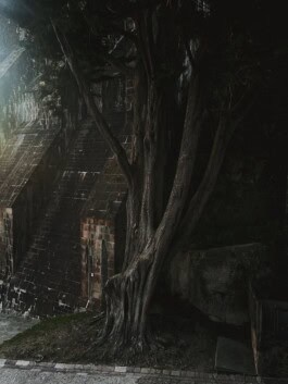 mercedes ln2 1124af expedition truck