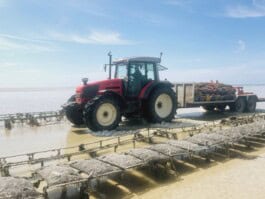 mercedes ln2 1124af expedition truck