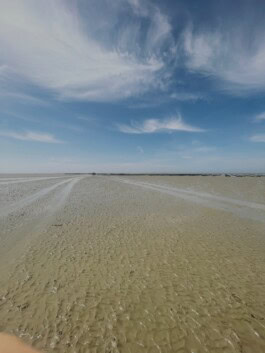 mercedes ln2 1124af expedition truck