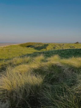 mercedes ln2 1124af expedition truck