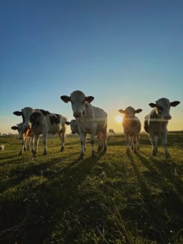  mercedes ln2 1124af expedition truck