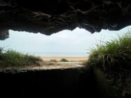 mercedes ln2 1124af expedition truck