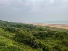 mercedes ln2 1124af expedition truck