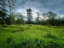 mercedes ln2 1124af expedition truck