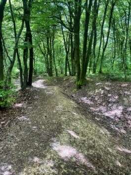 mercedes ln2 1124af expedition truck