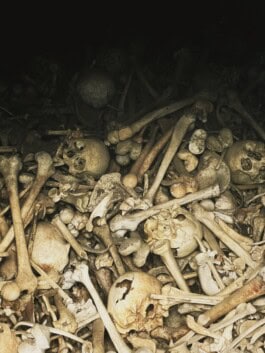 mercedes ln2 1124af expedition truck