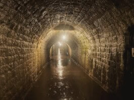 mercedes ln2 1124af expedition truck