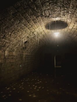 mercedes ln2 1124af expedition truck