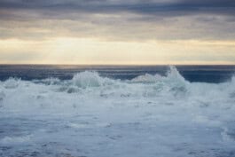 mercedes ln2 1124af expedition truck