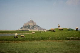 mercedes ln2 1124af expedition truck