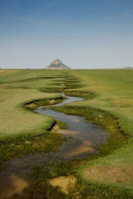 mercedes ln2 1124af expedition truck