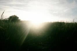 mercedes ln2 1124af expedition truck