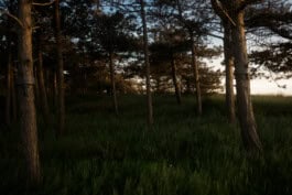 mercedes ln2 1124af expedition truck