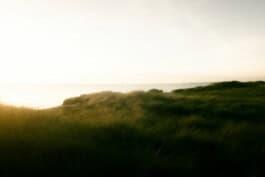 mercedes ln2 1124af expedition truck