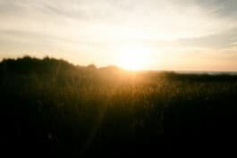 mercedes ln2 1124af expedition truck