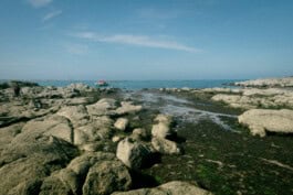 mercedes ln2 1124af expedition truck