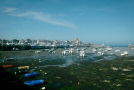 mercedes ln2 1124af expedition truck