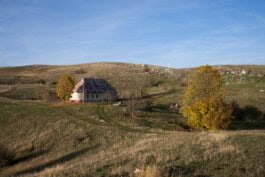 mercedes ln2 1124af expedition truck