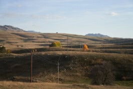 mercedes ln2 1124af expedition truck