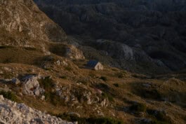 mercedes ln2 1124af expedition truck