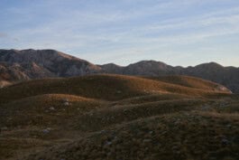 mercedes ln2 1124af expedition truck