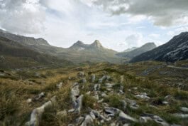 mercedes ln2 1124af expedition truck