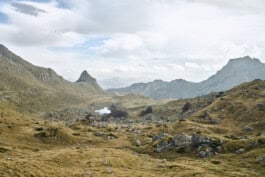 mercedes ln2 1124af expedition truck