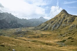  mercedes ln2 1124af expedition truck