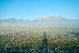 mercedes ln2 1124af expedition truck